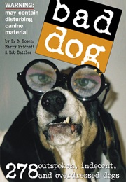 Bad Dog (Harry Pritchett)
