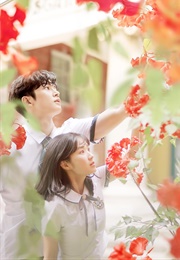 Extraordinary You (2019)