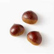 Korean Chestnut (Castanea Crenata)