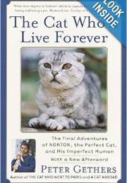 The Cat Who'll Live Forever