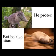 He Protec but He Also Attac
