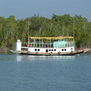 Tiger Spotting in Sundarbans NP, India