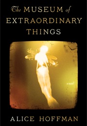 The Museum of Extraordinary Things (Alice Hoffman)