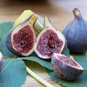 Fig (Common Fig)
