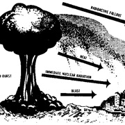 Survive Nuclear Fallout