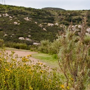 San Diego National Wildlife Refuge