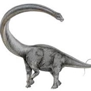 Seismosaurus