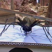 Planet of the Spiders