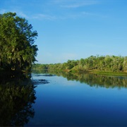 Lower Wekiva River State Park, Florida