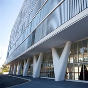 Museu De Arte Contemporânea