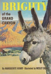 Brighty of the Canyon (Henry, Marguerite)