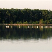 Lac Qui Parle State Park, Minnesota