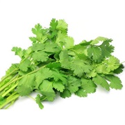 Coriander / Cilantro