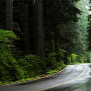 Willamette National Forest