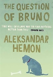 The Question of Bruno (Aleksandar Hemon)
