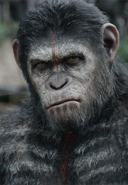 Planet of the Apes Reboot (2022)