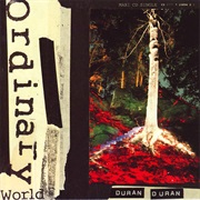Ordinary World - Duran Duran