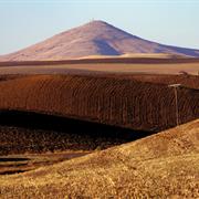 Steptoe Butte
