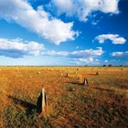 Rinyirru National Park (QLD)