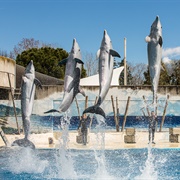 Madrid Zoo and Aquarium