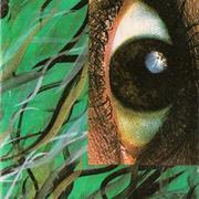 Röövel Ööbik - Ilu