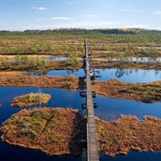 Lahemaa National Park, Estonia
