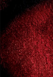 Promised (Caragh M. O'Brien)