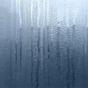 High Humidity (More Than 80%)