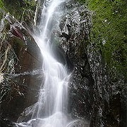 Henri Pittier National Park, Venezuela