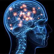 Do a Masters in Neuroscience