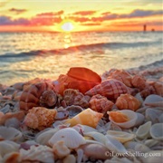 Seashells & Sunsets on Sanibel and Captiva, USA