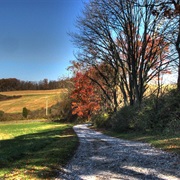 Whittaker Chambers Farm