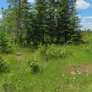 Cloquet Valley State Forest, Minnesota