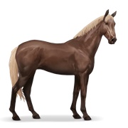 Trakehner - Flaxen Liver Chestnut