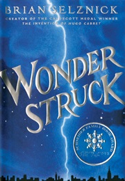 Wonderstruck (Brian Selznick)