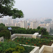Mount Faber