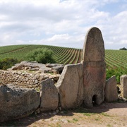 Giant Tour in Sardinia, Italy