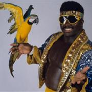 Koko B. Ware
