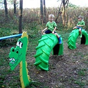 Become a Dragon Trainer