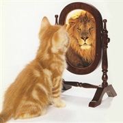 Give Compliments to Yourself