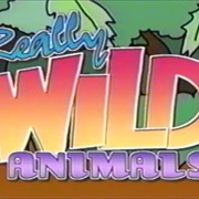Really Wild Animals