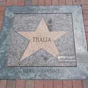 Calle Ocho Walk of Fame
