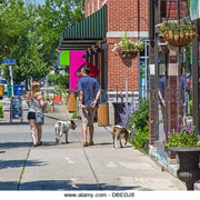 Elmwood Ave, Buffalo