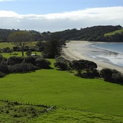 Te Muri Campground