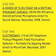 Russel Haswell - Recorded While It Actually Happened