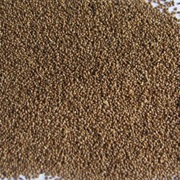 Black Fonio (Digitaria Iburua)