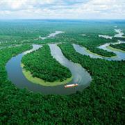 Brazilian Amazon