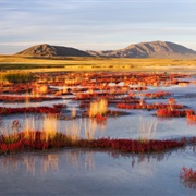 Uvs Lake Basin, Tuva, Russia