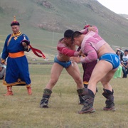Mongolian Wrestling