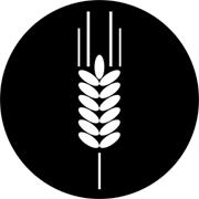 Top Shelf Brewing Company